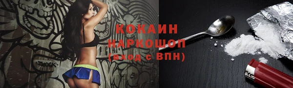 соль ск Алзамай