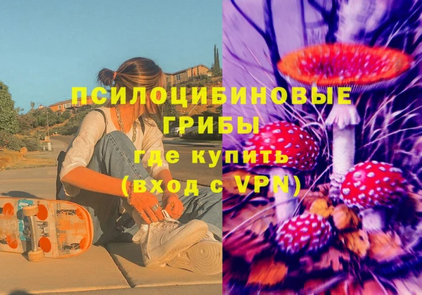 соль ск Алзамай